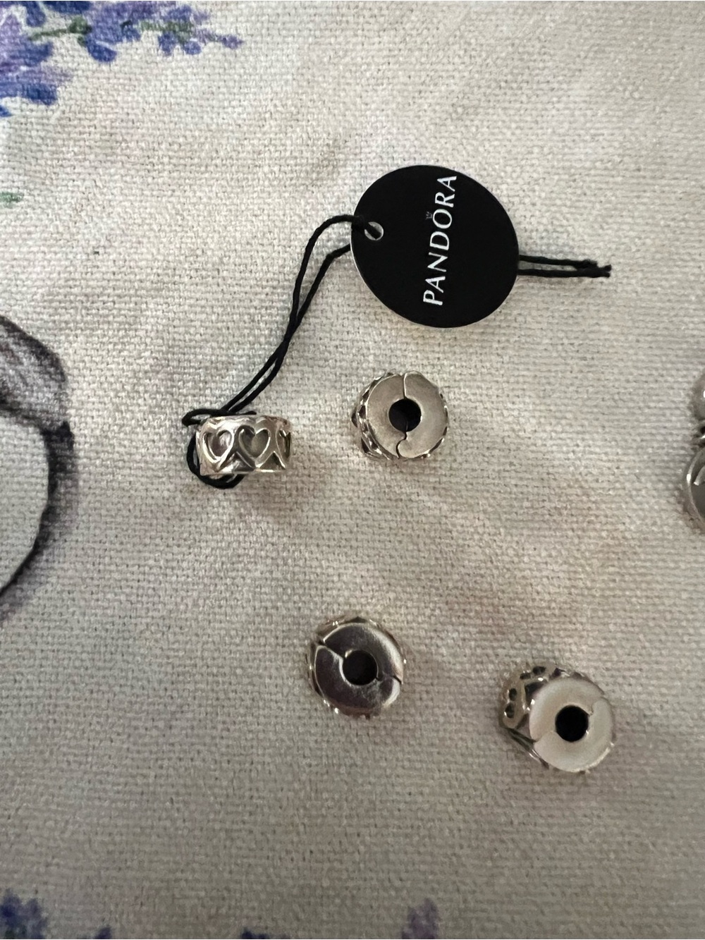 Pandora Charms